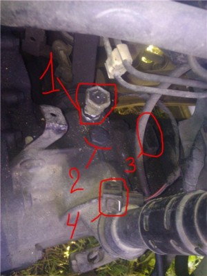 0c35ac95baa3.jpg
