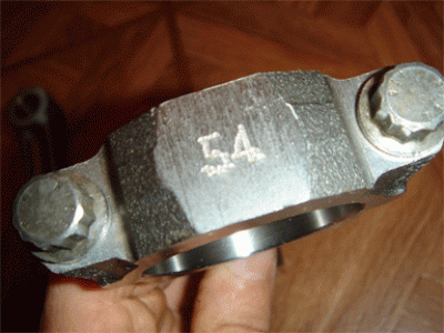 DSC04845_Layer 1.gif