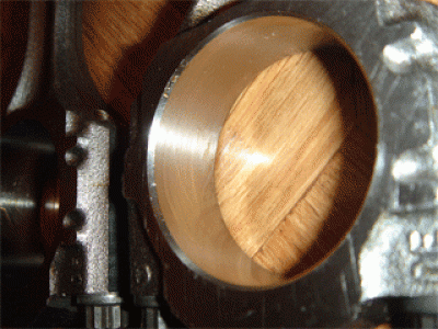 DSC04841_Layer 1.gif