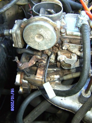 SANY0147.JPG