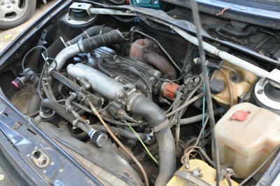 DSC_0387.JPG